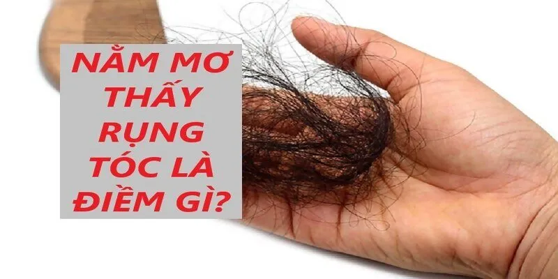 Mơ thấy rụng 1 cọng tóc là điềm báo bạn thiếu quyết đoán