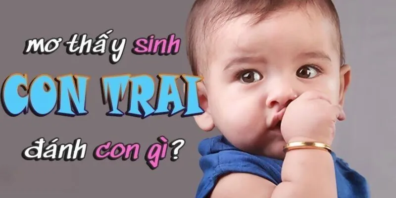 Các số tương ứng với giấc mơ sinh con trai