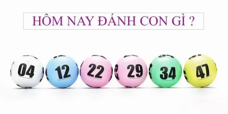 Cách đánh số đề 12 con giáp đạt hiệu quả